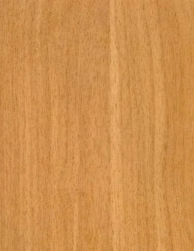 European Ash 1085